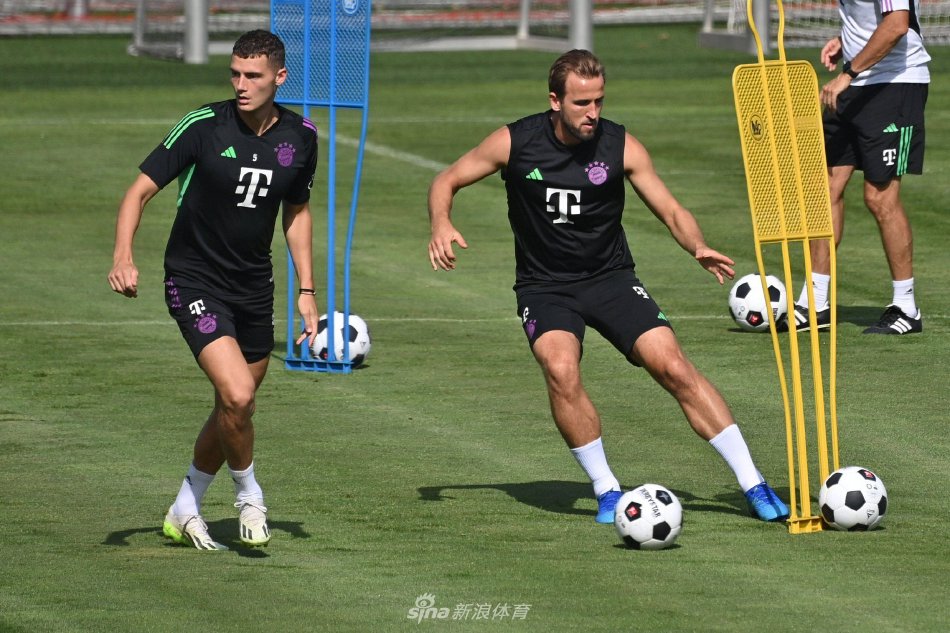 的世界里 的世界里